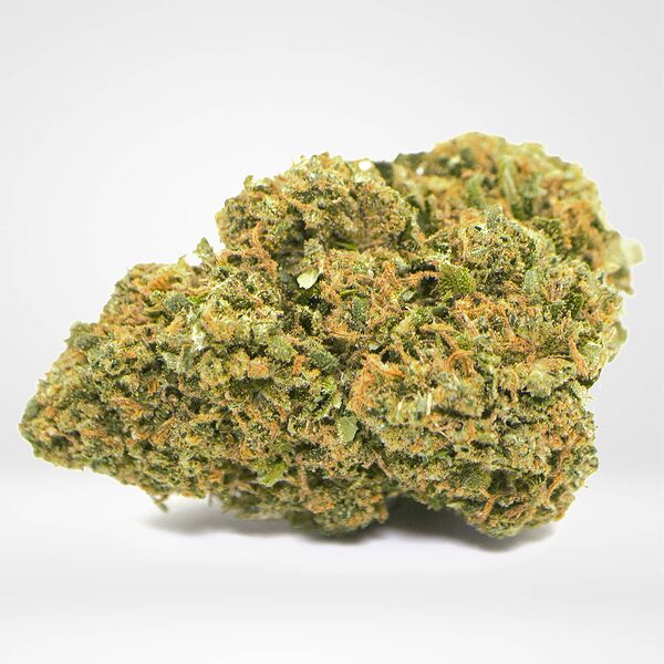 flowers-indoor-obi_wan-product-v6c