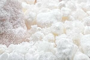 Cristales puros de CBDA, extraídos directamente de la planta de cannabis