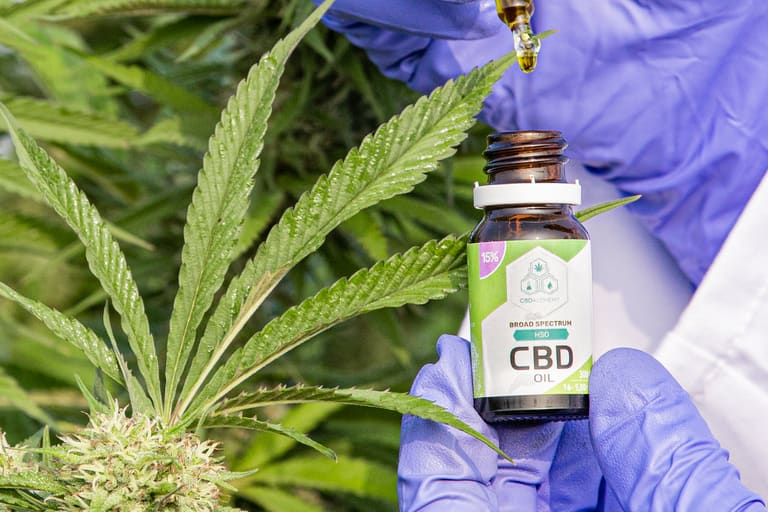 Gran variedad de Aceites de CBD