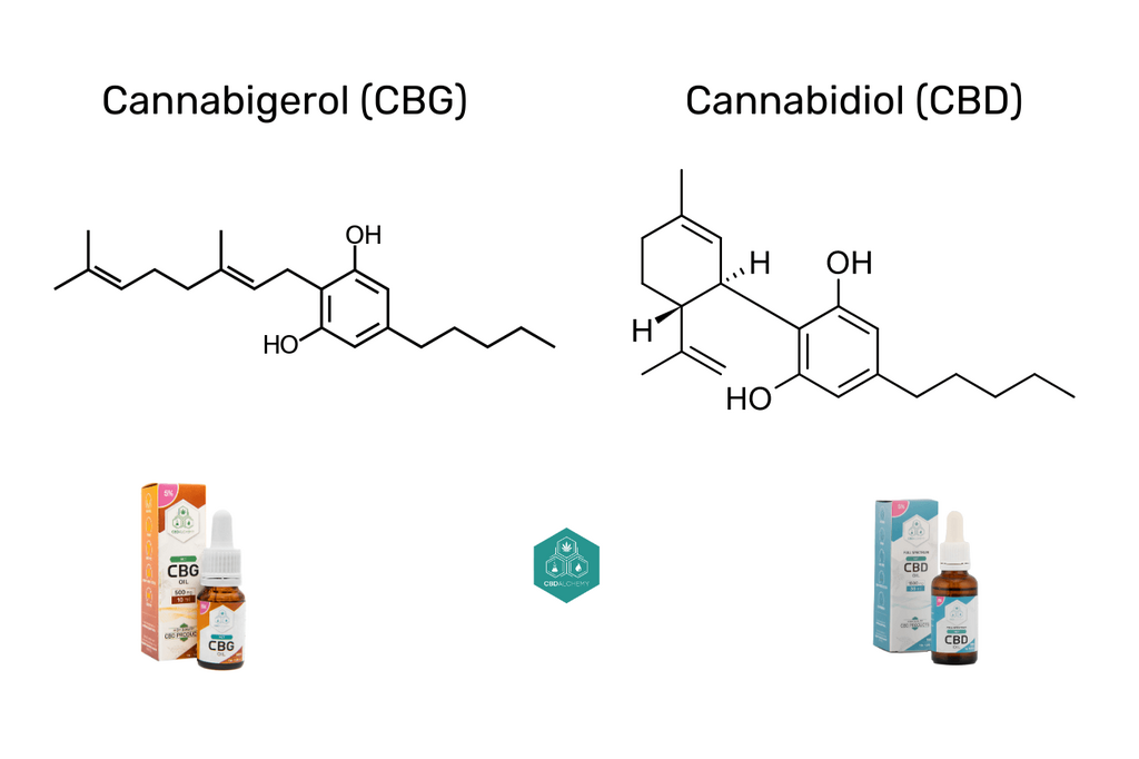 CBG vs. CBD: Two cannabis giants in comparison.