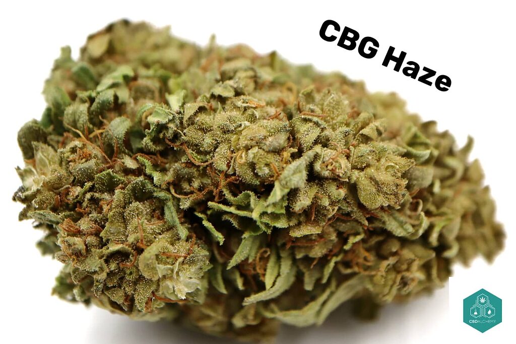 CBG Haze: The classic Haze essence, renewed and brilliant in this new CBG profile.