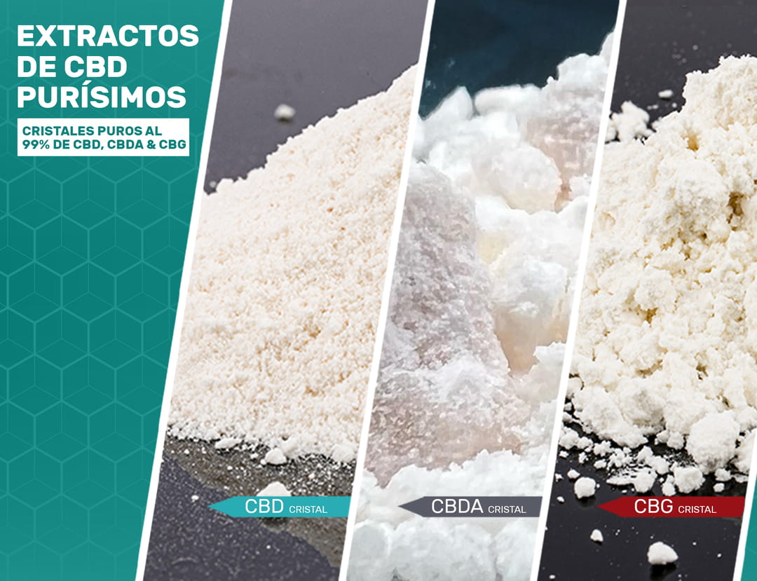 Variedad de los extractos de cannabis más puros