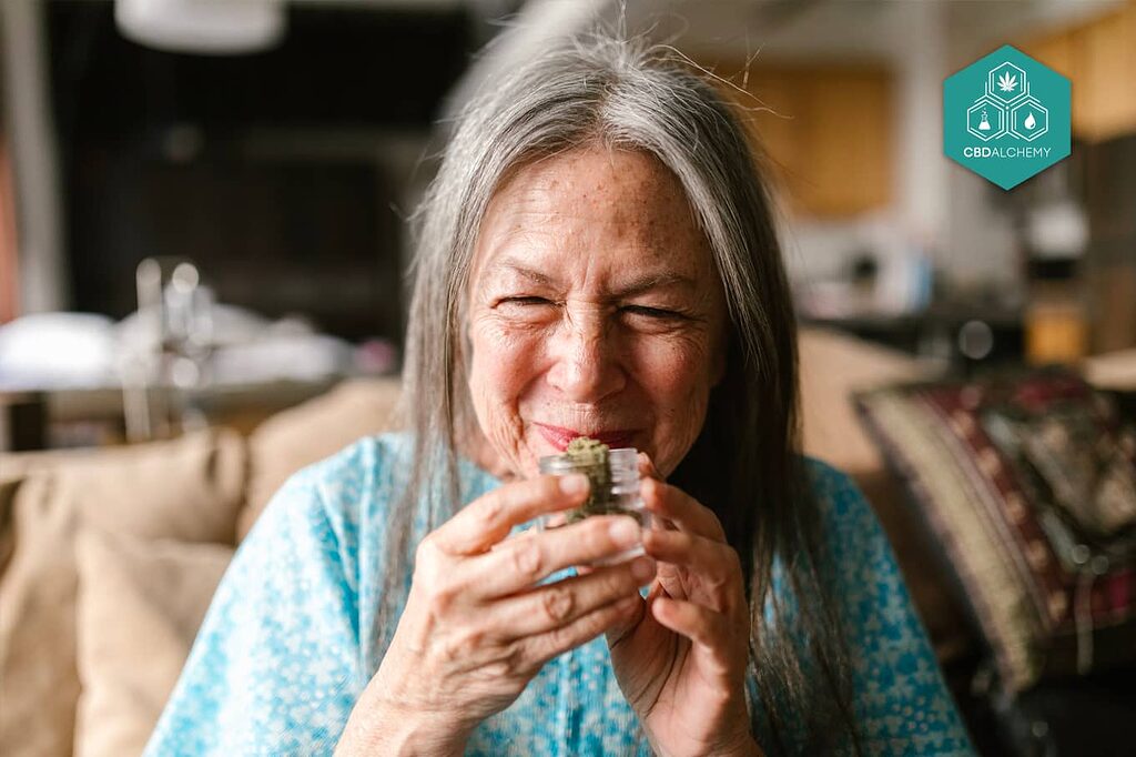 Understand the wellness benefits of CBD and how it differs from traditional marijuana.