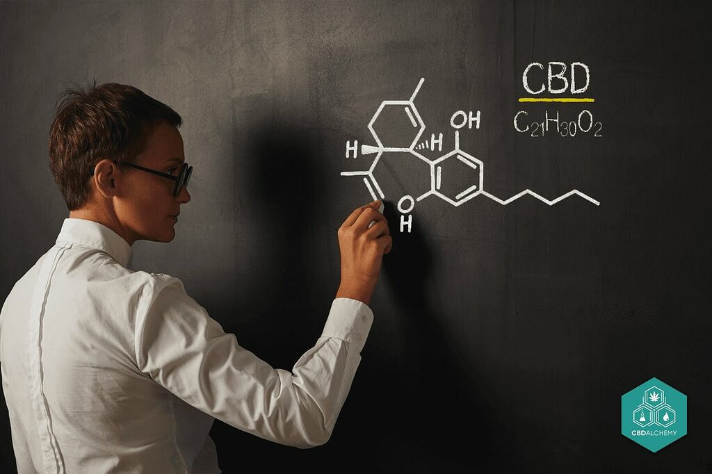 Components and Properties of CBD Flowers: Understanding Cannabinoids and Terpenes.