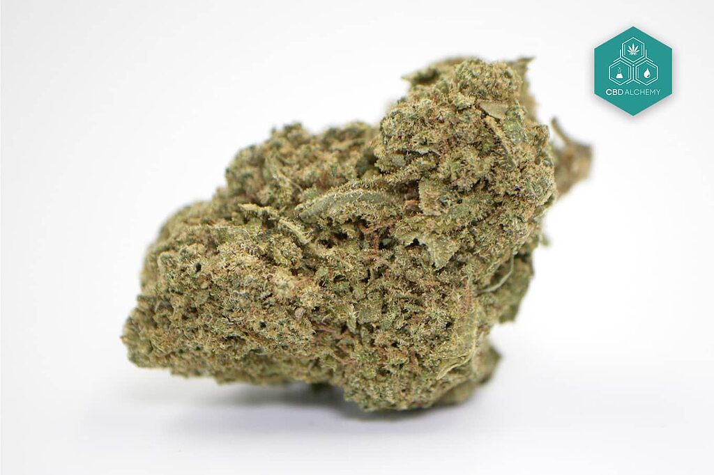 Juicy Fruit CBD Flowers: A tropical ride in each inhalation, where exotic flavors meet CBD. 
