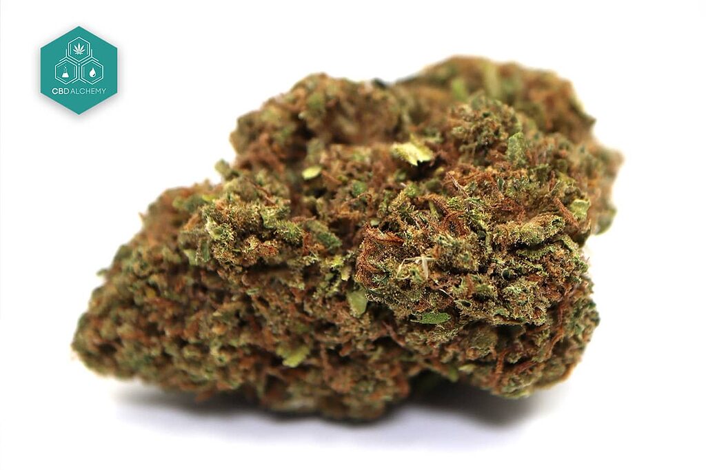 Alchemy Berry CBD Flowers: Natural sweetness with hints of raspberry, for a well-being that enchants.