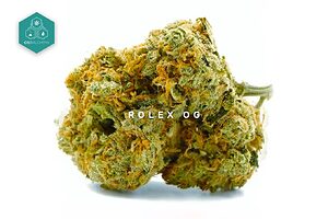 Sumérgete en la elegancia de Rolex OG Kush Flores CBD, una variedad premium indoor con alto contenido en CBD, perfecta para quienes buscan calidad y efectos terapéuticos sin THC.