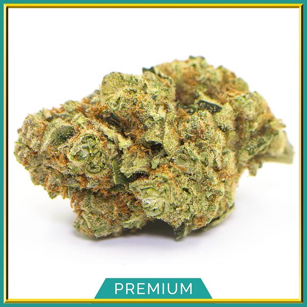 flowers-indoor-deep_amnesia-product-v6