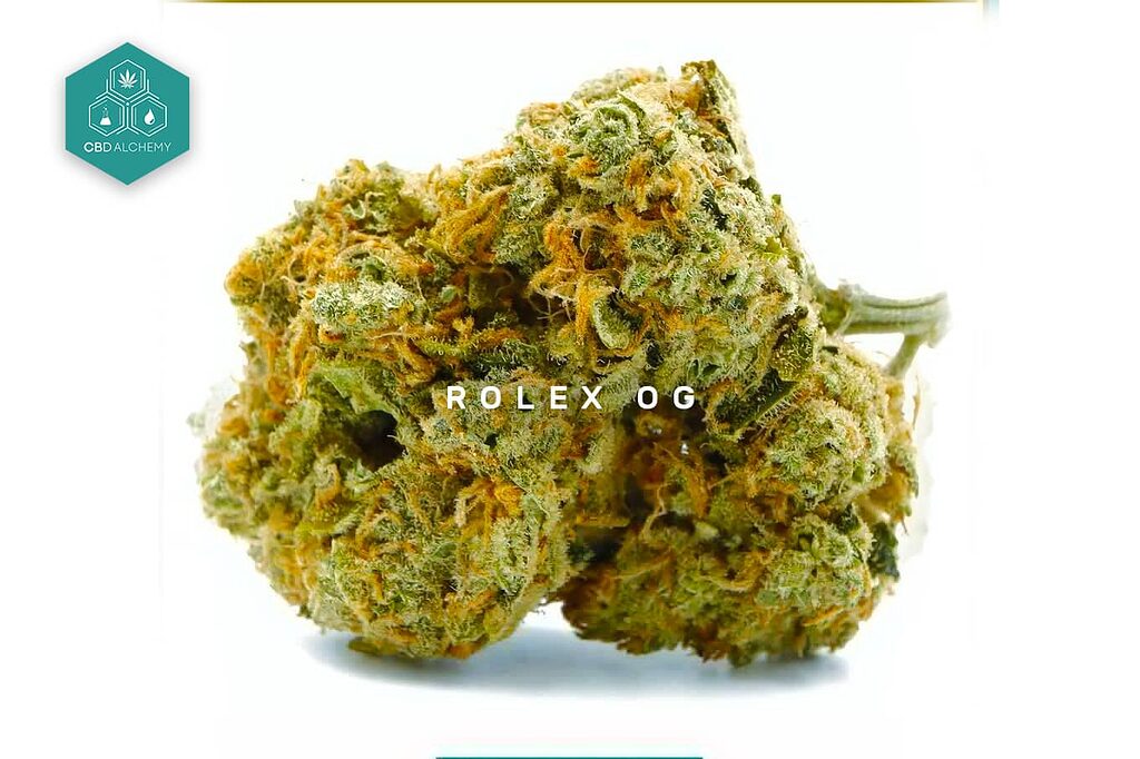 Enjoy the potency and earthy aroma of Rolex OG Kush CBD Flowers.