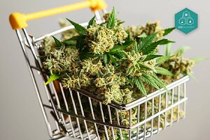 Compra CBD de calidad a precios inigualables, ideal para tu carrito de compras.