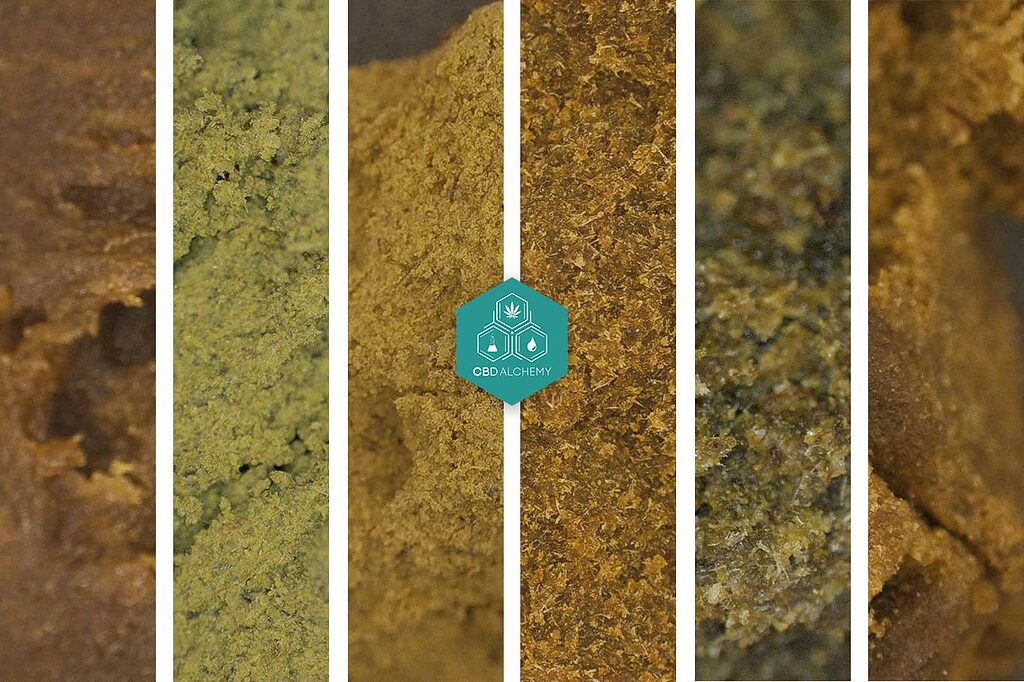 where to buy resins? Find the best ones here at CBD Alchemy.