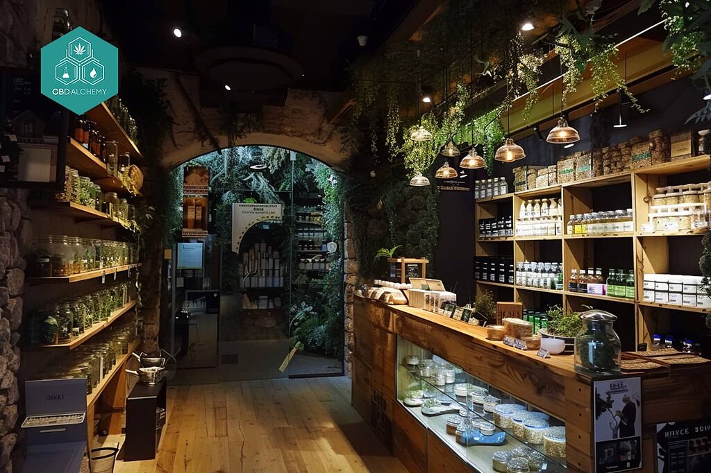 Premium CBD oils now in Valencia.