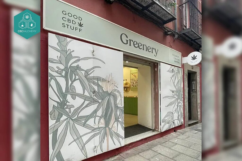 Buy top quality CBD in Valencia.