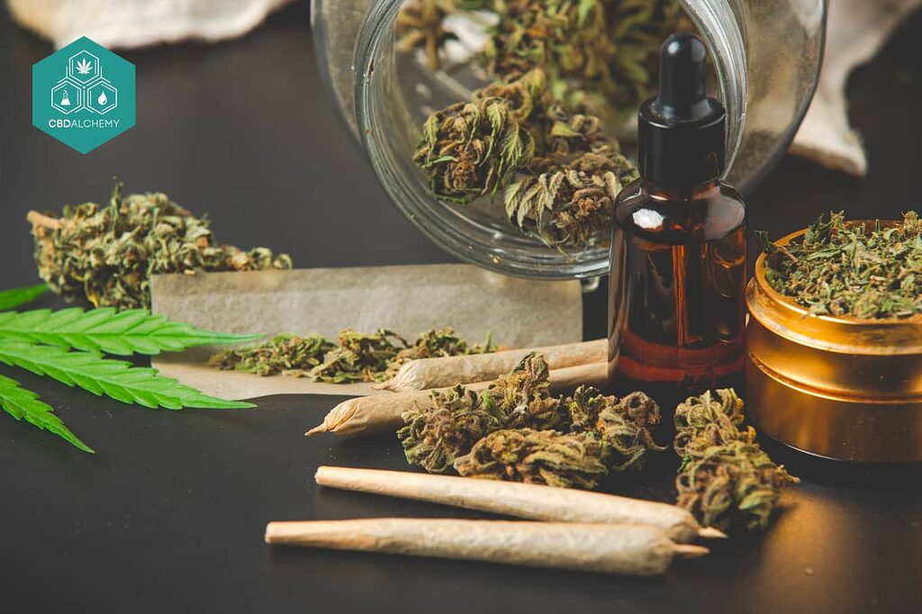 Fresh CBD flowers: a touch of nature in your life.