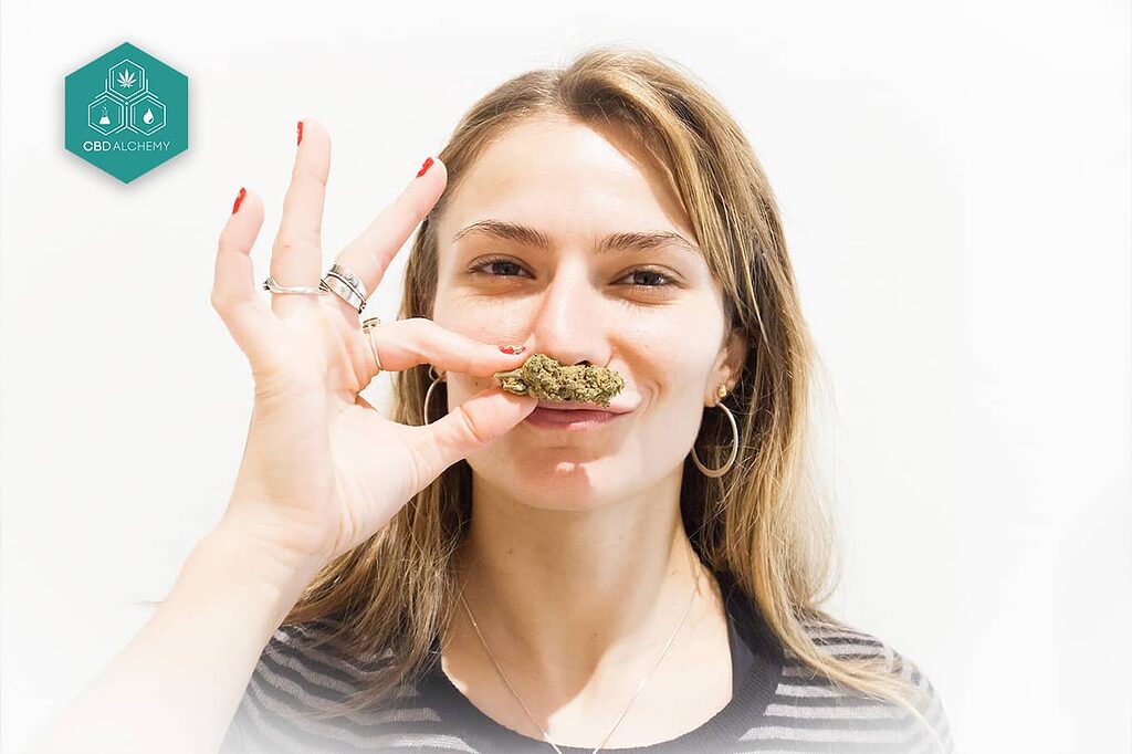 CBD flowers for your well-being, available in Madrid.