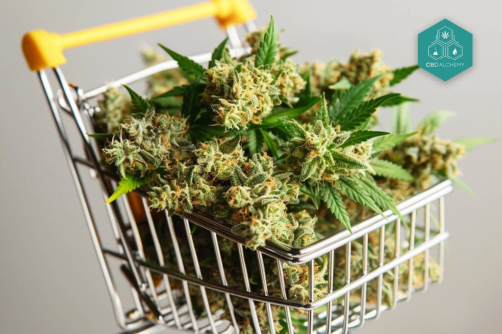 Weed and marijuana stock photos.