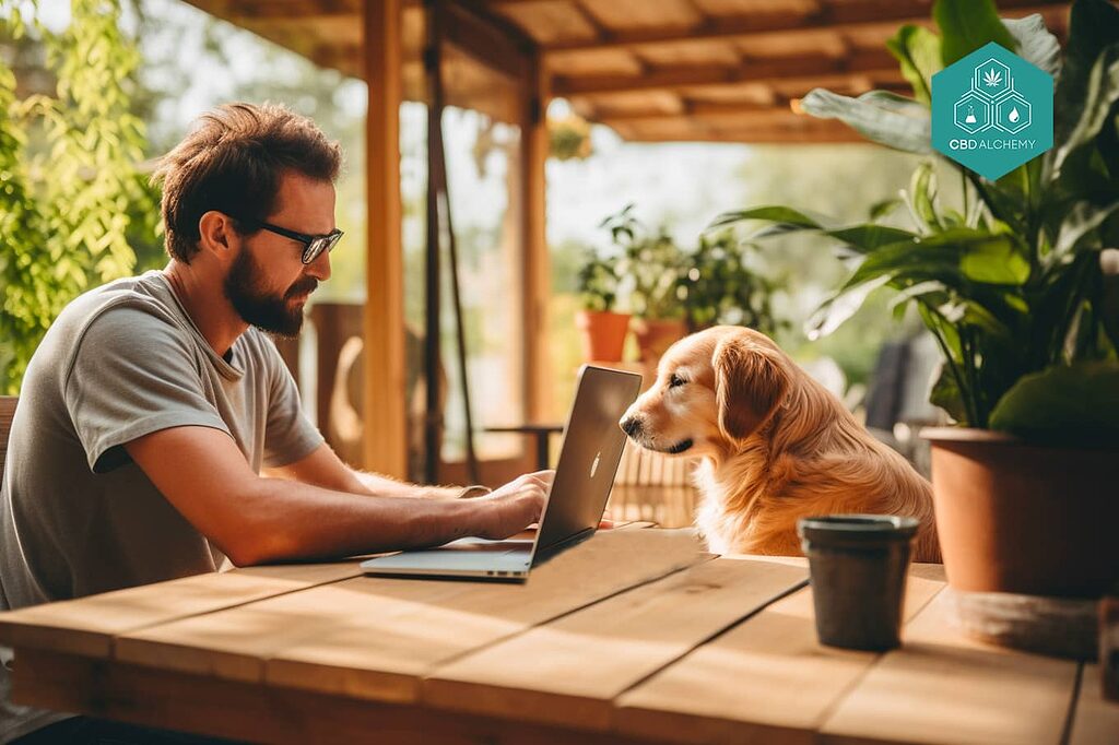 CBD for dogs: benefits without serious side effects.