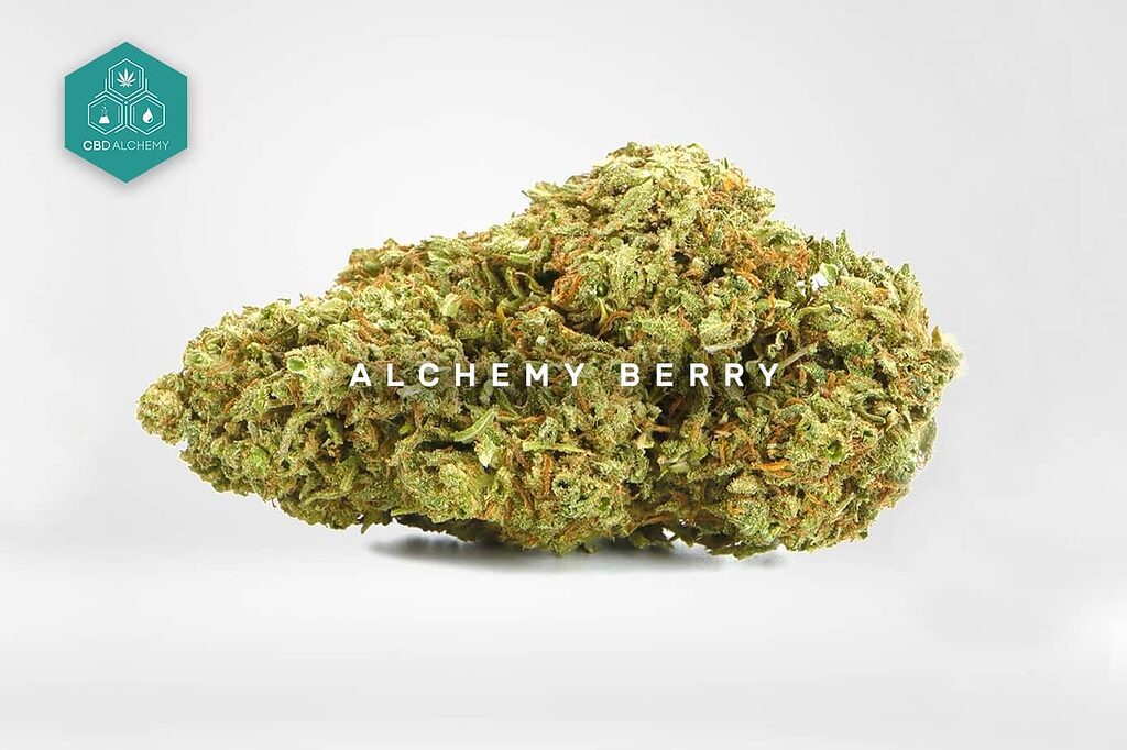 Superior quality CBD flower buds.