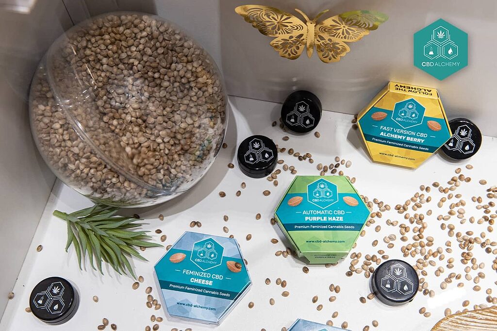 Cannabis seeds: exclusive collection in CBD shop in Madrid.