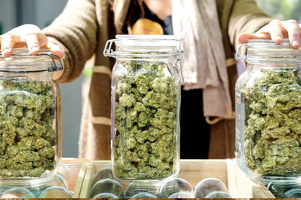 Curing process of Kush buds to preserve terpenes and cannabinoids.