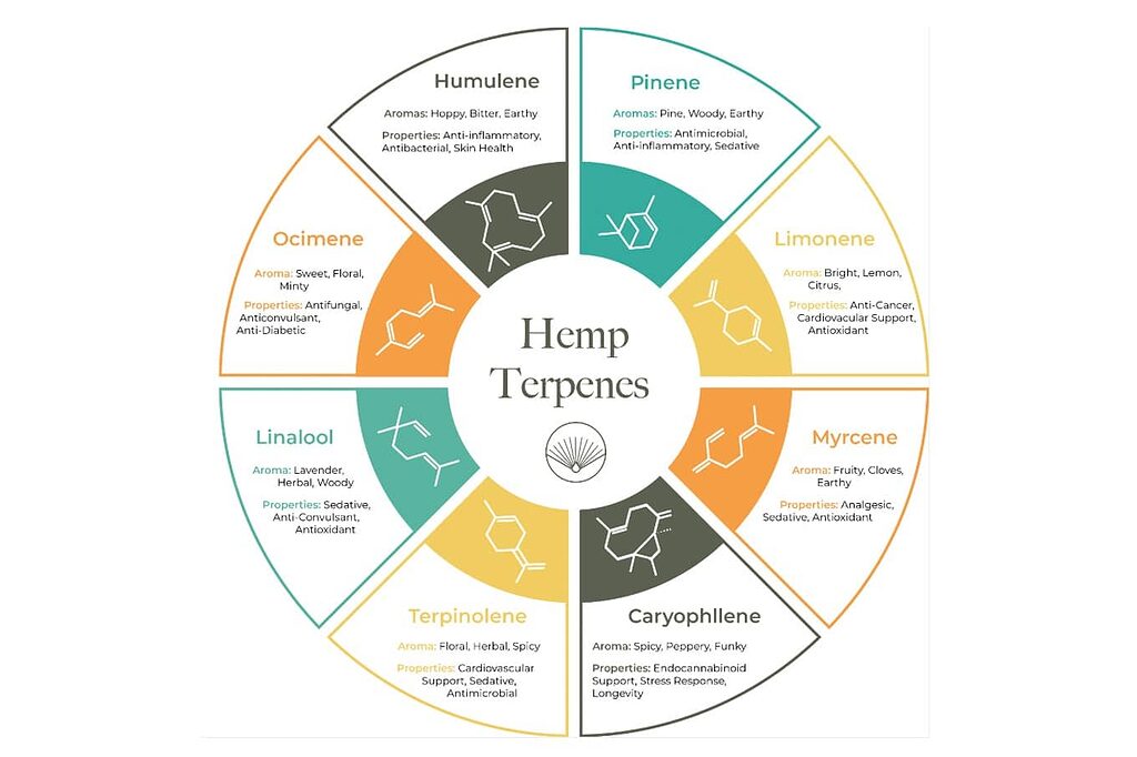 An image depicting the therapeutic benefits of terpenes.