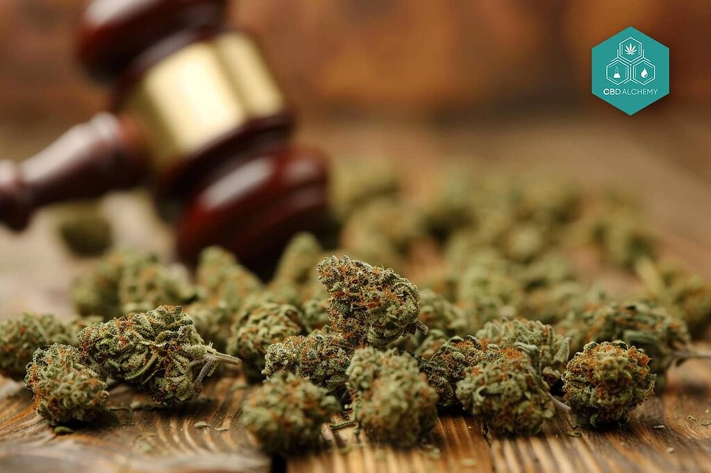 Current U.S. regulations on medical cannabis oil.