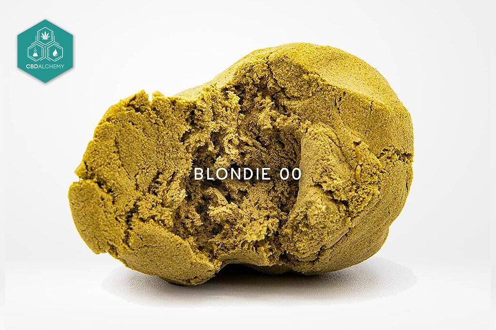 CBD Alchemy's Blondie 00: gleichmäßige goldene Farbe und perfekte Elastizität, Merkmale von Premium-Haschisch aus Bio-Hanf