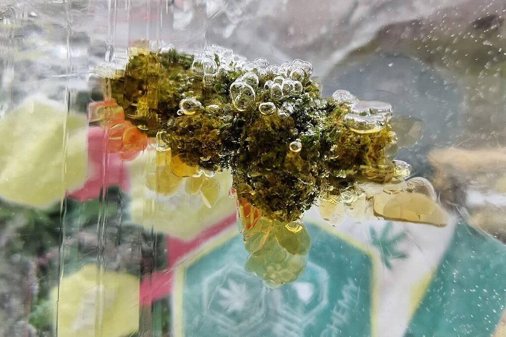 Discover new CBD brands at Spannabis: Personalized advice.