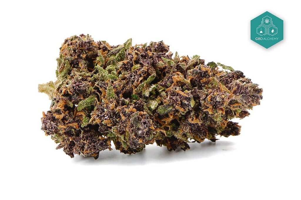 Indoor CBD flowers with visible trichome coverage, guaranteed potency at a good price.