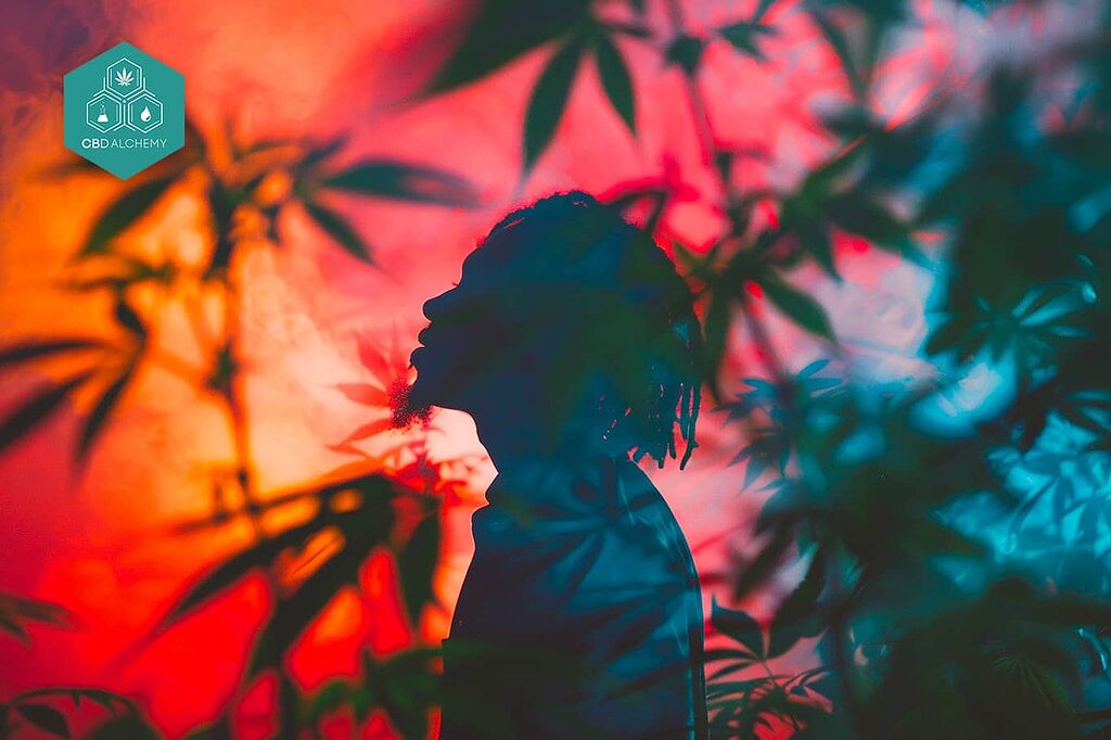 Cheap CBD drops to relieve stress and anxiety naturally.