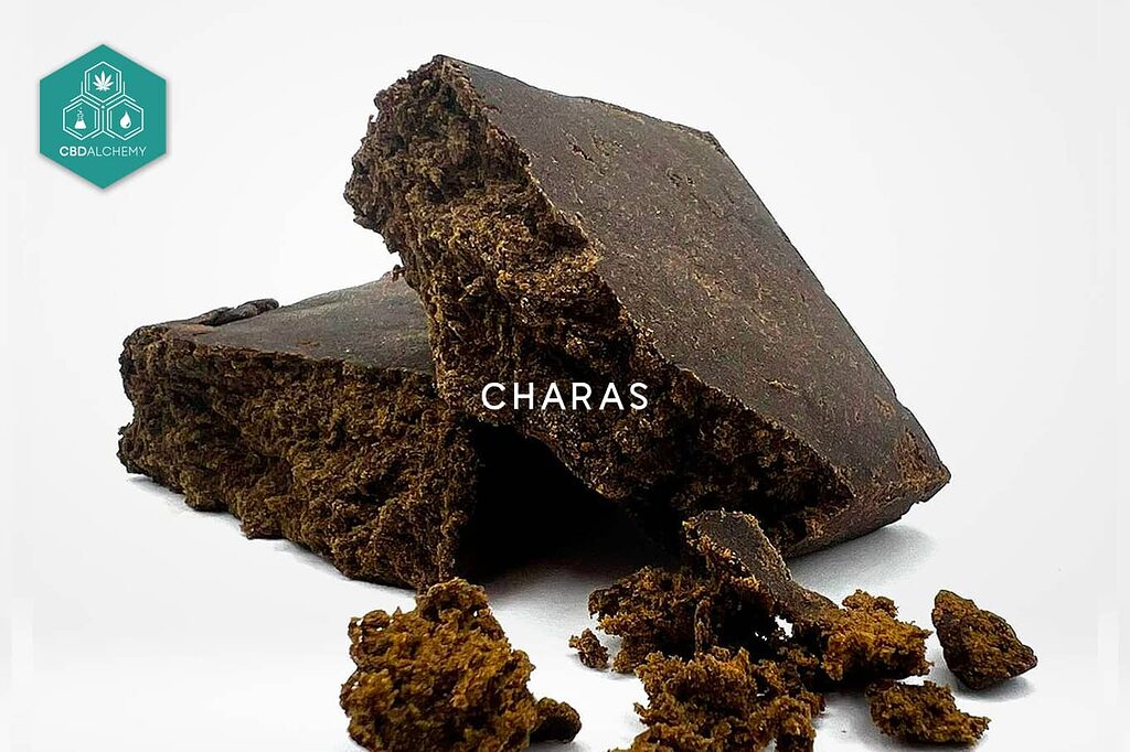 Find cheap CBD hashish with different percentages of CBD.