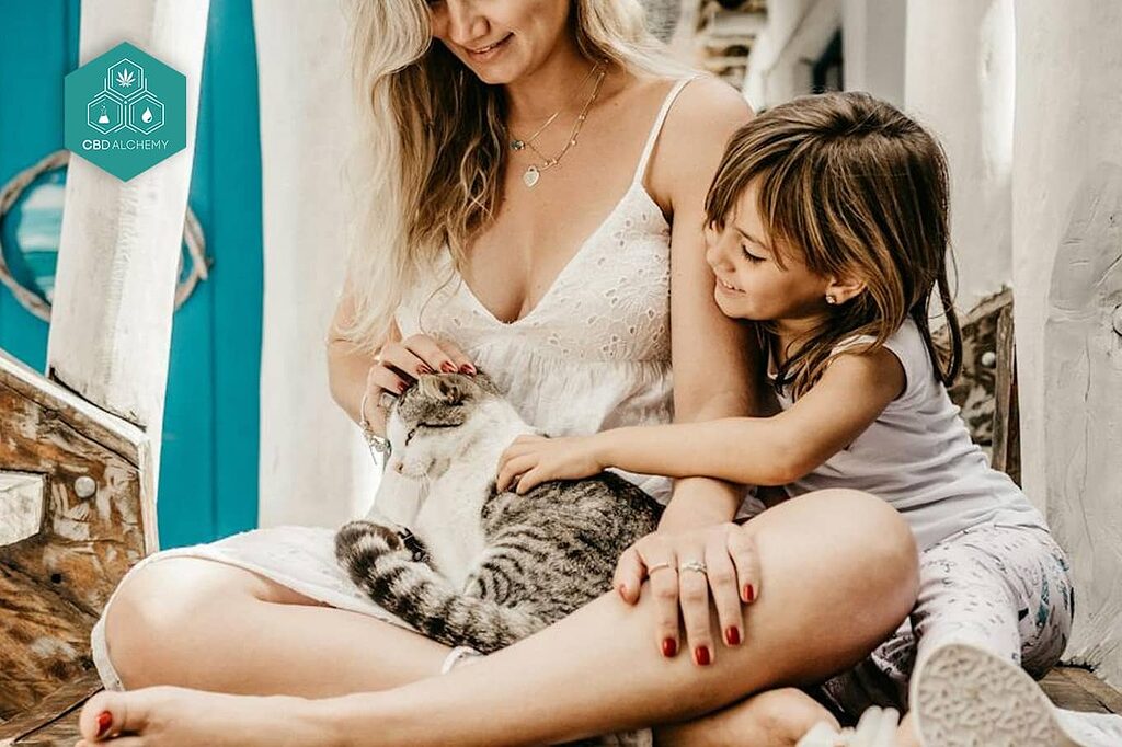 CBD oil for cats provides all-around wellness, from pain relief to stress reduction.