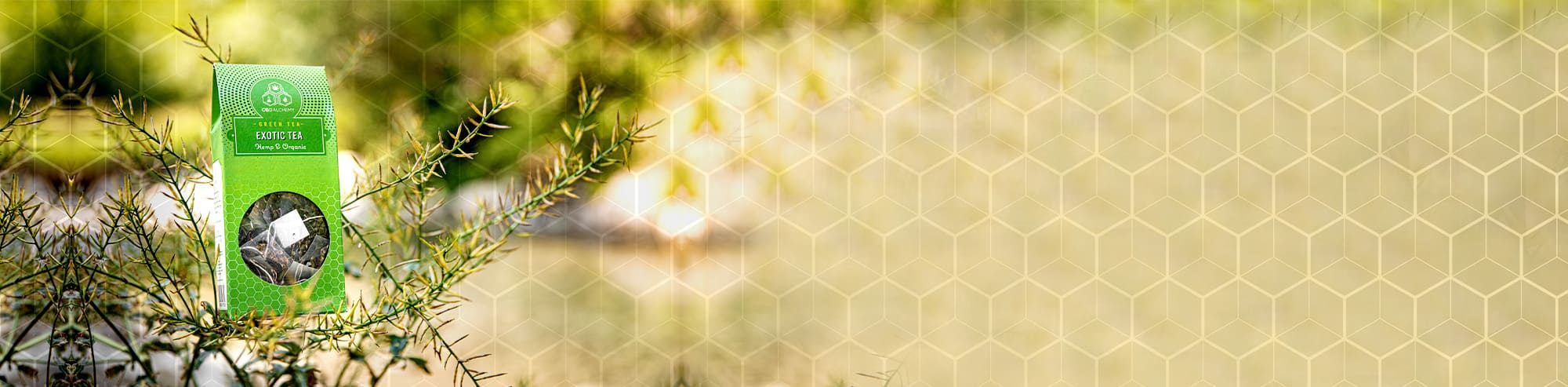 Große Auswahl an CBD-Lebensmitteln von CBD Alchemy