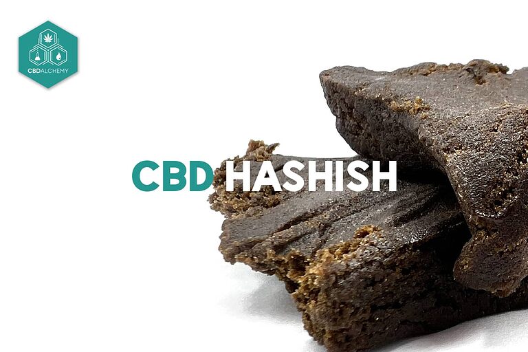 CBD Alchemy: Pionierarbeit für die Zukunft von Premium-Haschisch und CBD-Produkten.