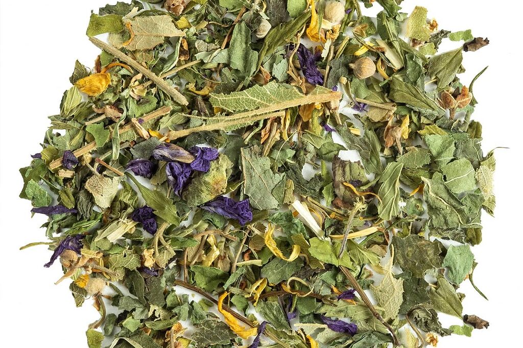 Hemp tea production: from the field to packaging.