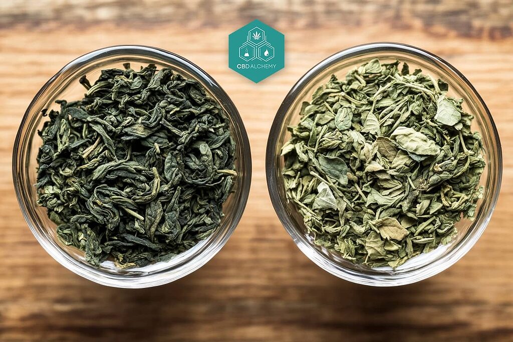 Hemp tea compared to green tea.