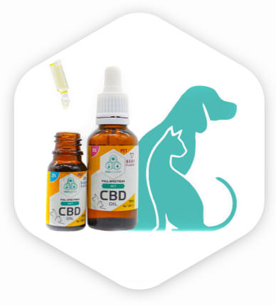 CBD per animali