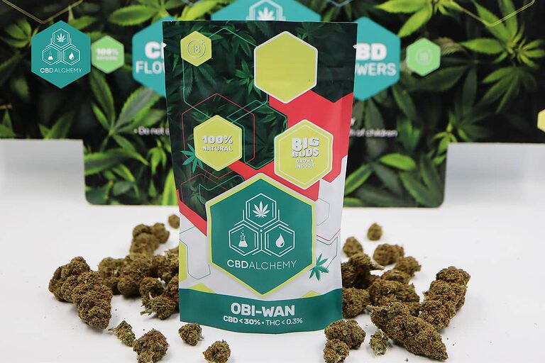 Scopra come acquistare fiori di CBD di qualità superiore con CBD Alchemy.