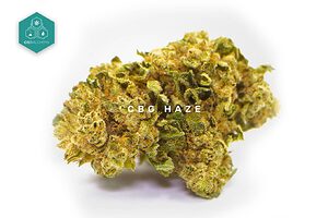 Innovazione ed energia definiscono CBG Haze Erba legale, una selezione unica con un alto contenuto di cannabigerolo, ideale per esplorare nuovi effetti e aggiungere un'esperienza diversa al vostro carrello.