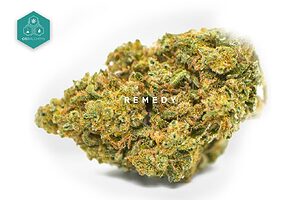 Trovate sollievo e tranquillità con Remedy Erba legale, fiori di CBD progettati per rilassare, con un alto contenuto di CBD e senza effetti collaterali, disponibili per l'acquisto online.