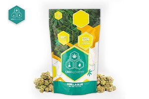 Intensità e sapore in ogni boccata con Gorilla Glue Mini Buds, un modo economico per godere degli effetti potenti e rilassanti di Gorilla Glue Erba legale.