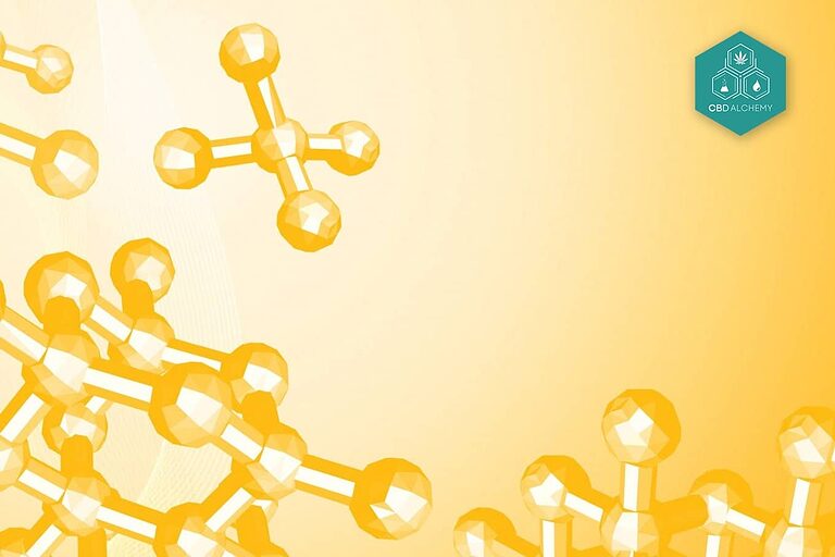 Un'illustrazione che mostra la composizione dell'olio di canapa, compresi i vari acidi grassi e i nutrienti.