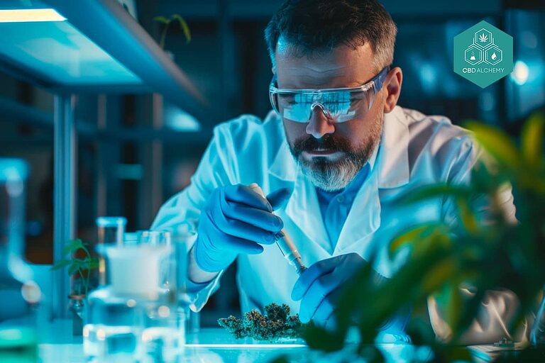 Test di controllo qualità per prodotti CBD a marchio bianco.