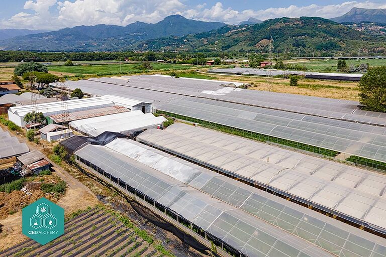 Impianto di produzione europeo all'avanguardia di CBD Alchemy per il commercio all'ingrosso di CBD premium.