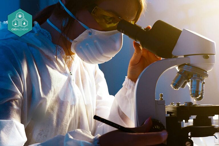 Test di controllo qualità per prodotti CBD a marchio bianco.