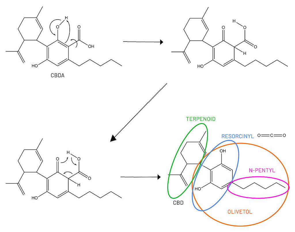Transformation of CBDA to CBD