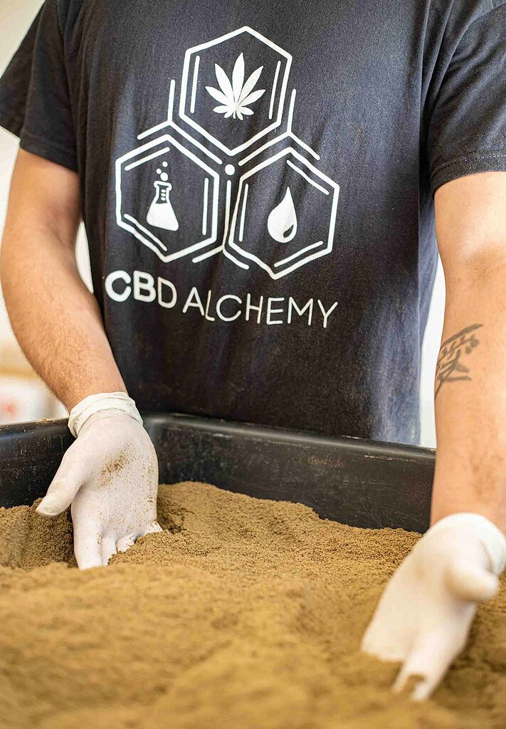 Tray of pollen being used for the making of the Ketama Gold Hash from CBD Alchemy.