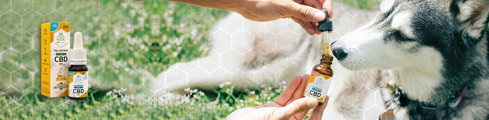 The widest range of CBD Oils for Dogs and Cats