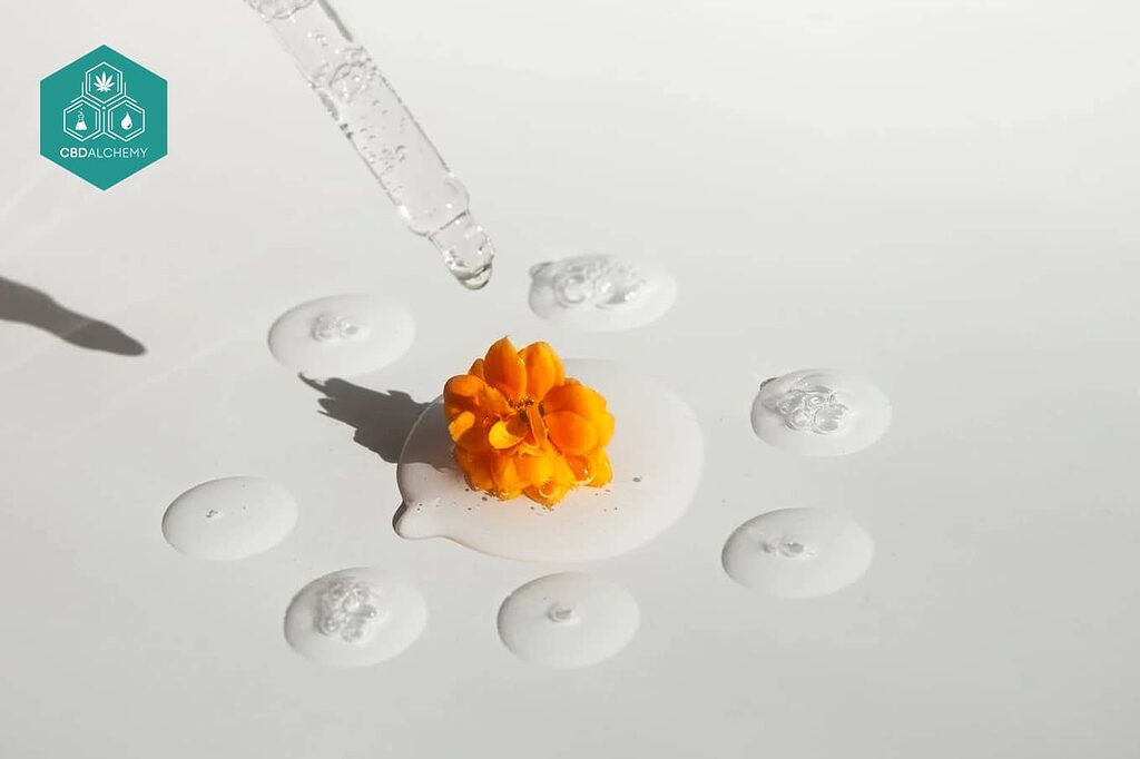 Stay informed and dive deeper into the world of CBD beauty.