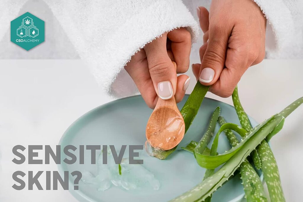 Soothing Aloe, rejuvenating Rosa Damascena, and the anti-inflammatory magic of CBD: Alchemy's Anti-age Face-Eye Lift Serum is a sensitive skin's best friend.